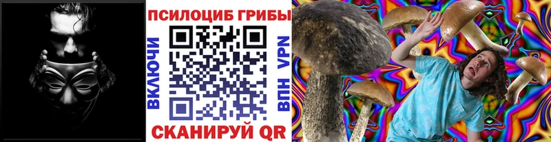 Псилоцибиновые грибы Psilocybe  где продают наркотики  Кириллов 